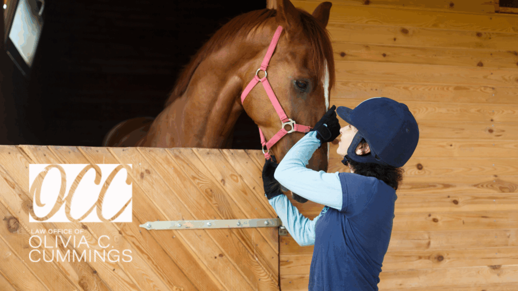 P-1 vs O-1 visa for equestrian professionals – rider competing in international show jumping event